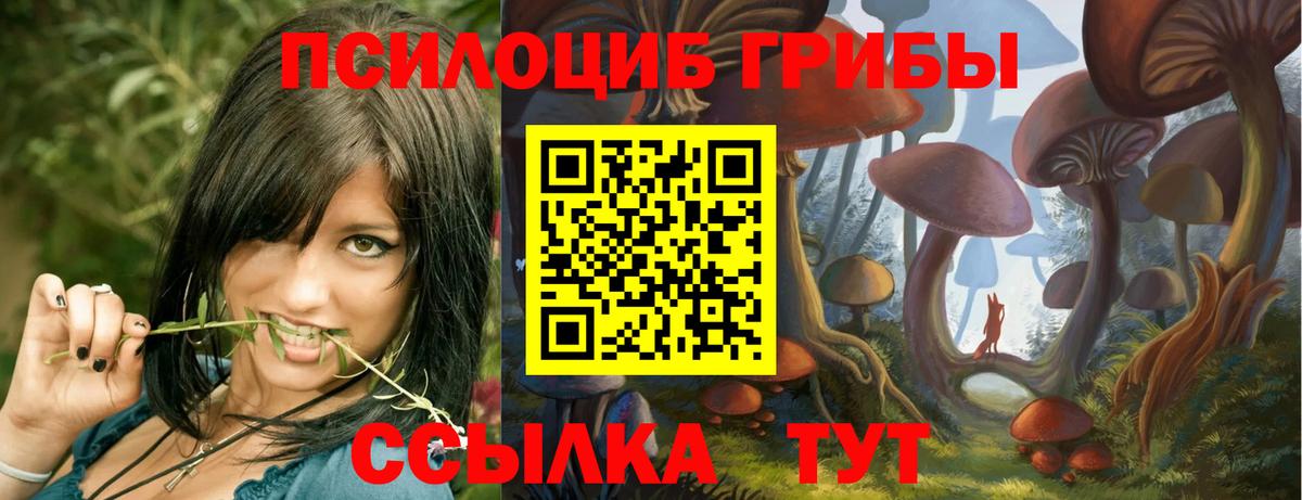 Острогожск  Галлюциногенные грибы ЛСД  Псилоцибиновые грибы MAGIC MUSHROOMS  Вход с VPN 